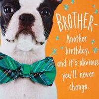 Gambar GREETING CARD- HALLMARK- KARTU UCAPAN-BIRTHDAY CARD- DOG WITH BOW TIE dari Hallmark Cards Indonesia Kota Administrasi Jakarta Utara 4 Tokopedia