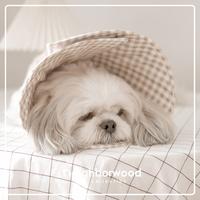 Gambar Neighborwood Brown Gingham Pet Cone - S dari Lush Pets Co. Kota Administrasi Jakarta Utara 5 Tokopedia