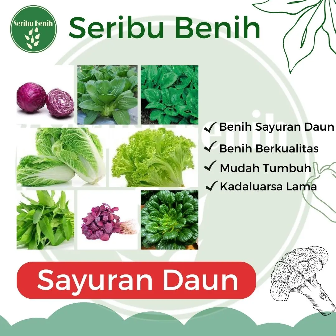 Aneka Benih Sayuran Seribuan Kangkung Bayam Sawi Seledri [ SERIBU ]