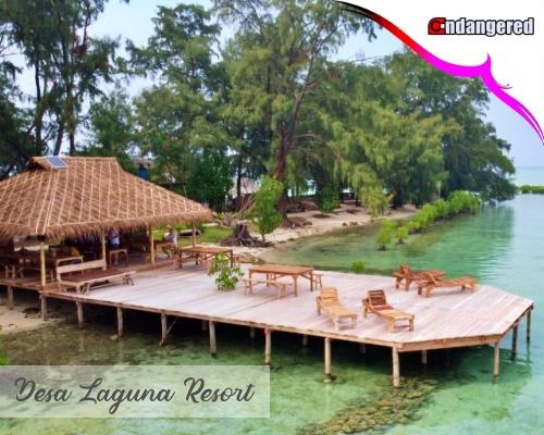 Gambar Paket Wisata Desa Laguna Resort Pulau Seribu dari Endangered Store Kota Administrasi Jakarta Utara Tokopedia
