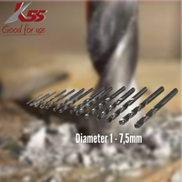 Gambar K55 Mata Bor Putih HSS 2,5mm WHITE STRAIGHT dari MST TOOLS Kota Administrasi Jakarta Barat 4 Tokopedia