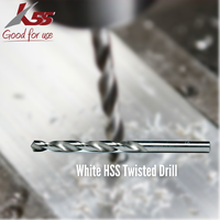 Gambar K55 Mata Bor Putih HSS 2,5mm WHITE STRAIGHT dari MST TOOLS Kota Administrasi Jakarta Barat 5 Tokopedia