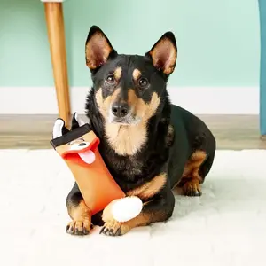 Minits| Hyper pet fire hose dog toys,squeaky kain oxford mainan anjing