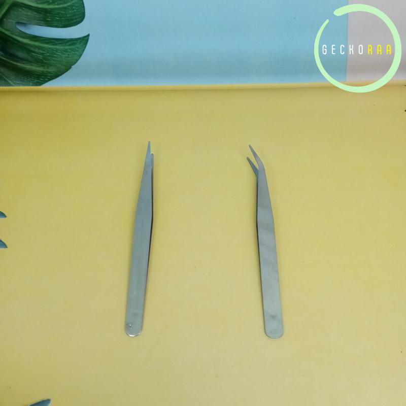 Pinset 10 cm Kecoa Dubia Jangkrik Ulat Hongkong 0
