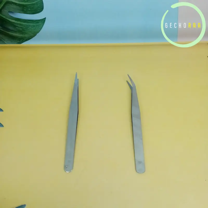 Pinset 10 cm Kecoa Dubia Jangkrik Ulat Hongkong 0
