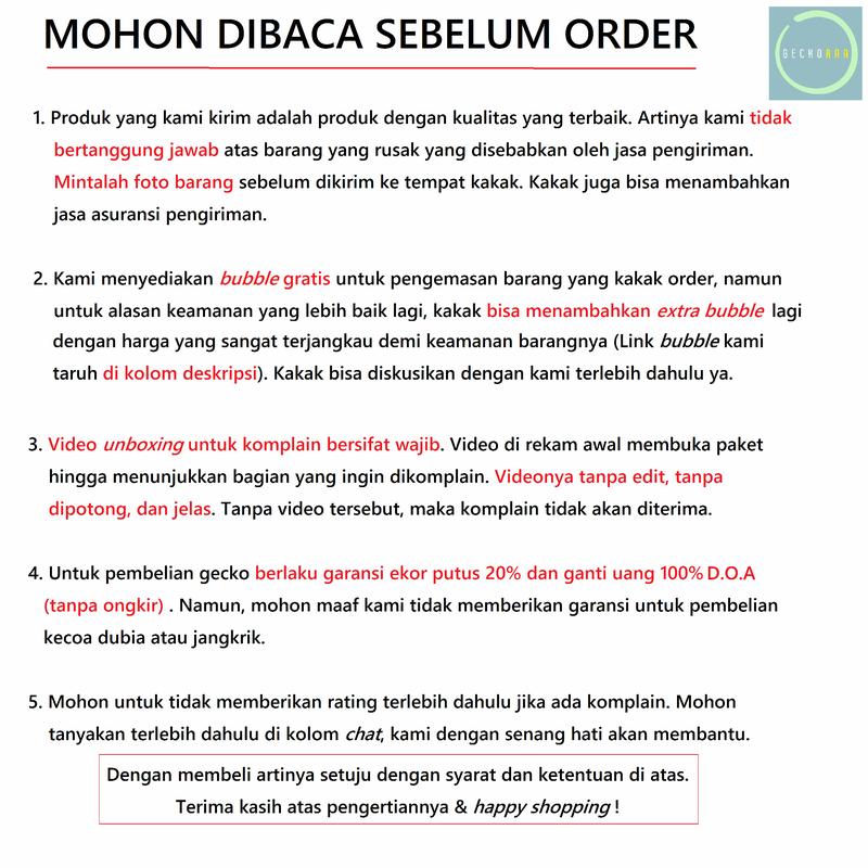 Pinset 10 cm Kecoa Dubia Jangkrik Ulat Hongkong 2