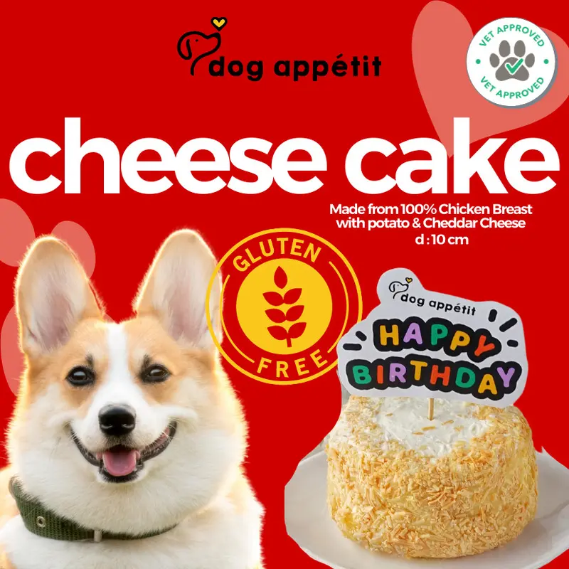 DOG APPETIT Birthday Cheesecake Dog Cake Kue Ulang Tahun Anjing Keju 1
