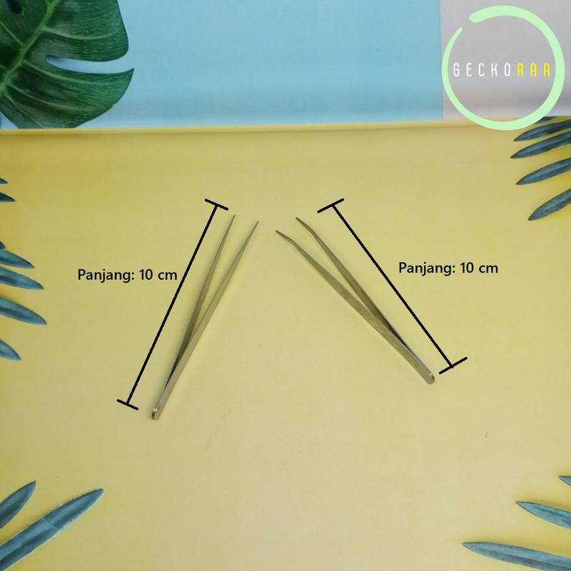 Pinset 10 cm Kecoa Dubia Jangkrik Ulat Hongkong 1