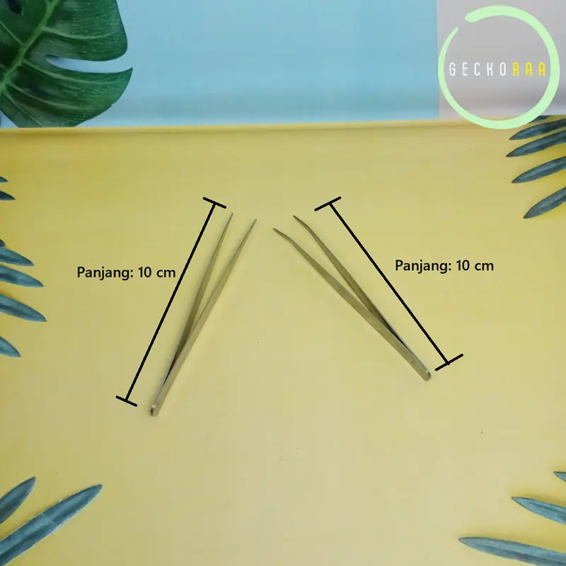 Pinset 10 cm Kecoa Dubia Jangkrik Ulat Hongkong 1