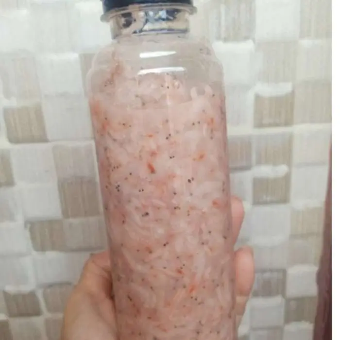 salted fermented shrimp saeujeot / cincalok malaka / cencalok udang