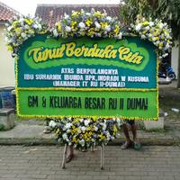 Gambar Papan Bunga – 119 Bunga papan pernikahan papan bunga ucapan - Duka Cita dari Gaby Bella Florist Kota Administrasi Jakarta Selatan 4 Tokopedia