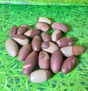 Natural Shiva Lingam Stone Wiith One Hole size 2,5 - 3 cm