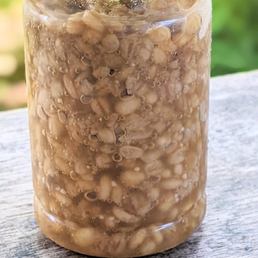 Organic Barley Shiokoji 100gr 3