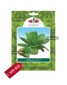 Benih Sawi Pakcoy Nauli F1 Pakchoy Cap Panah Merah Isi 1500 Biji