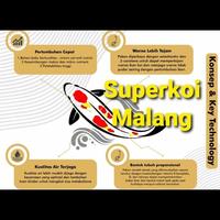 Gambar Migaru Pakan Koi Colour Growth Warna Grow Color Pelet Ikan dari SUPERKOI MALANG Kota Malang 2 Tokopedia