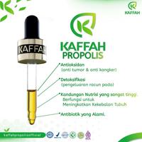 Gambar Paket Reseller - Propolis Kaffah tinggi Flavonoid & Quercetin isi 10ml dari Kaffah Propolis Official Kota Makassar 2 Tokopedia