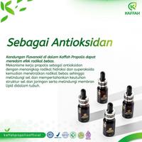 Gambar Paket Reseller - Propolis Kaffah tinggi Flavonoid & Quercetin isi 10ml dari Kaffah Propolis Official Kota Makassar 3 Tokopedia
