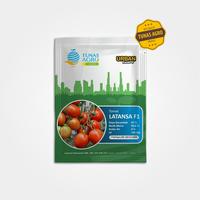 Gambar BENIH TOMAT LATANSA TAVI F1 TUNAS AGRO Urban Farming Small Pack (Tavi) dari Tunas Agro Persada Kab. Demak 1 Tokopedia