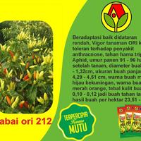 Gambar Benih Bibit Cabe Rawit ORI 212 AURA SEED Cabai Wiro Sableng dari PUROTANI.ID Kab. Purworejo 4 Tokopedia