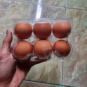 Telur Ayam Segar / Fresh 6pc