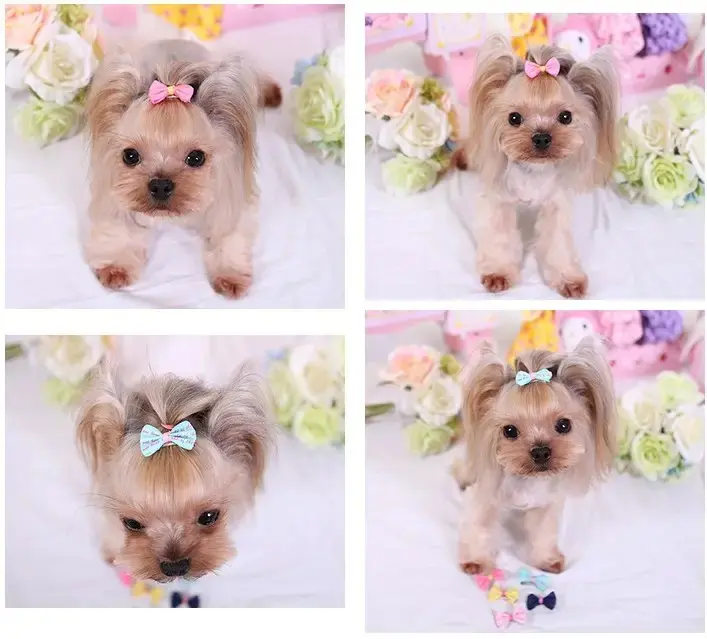 Minits | Ikat rambut clip ribbon, headdress hairpin clip anjing kucing 2