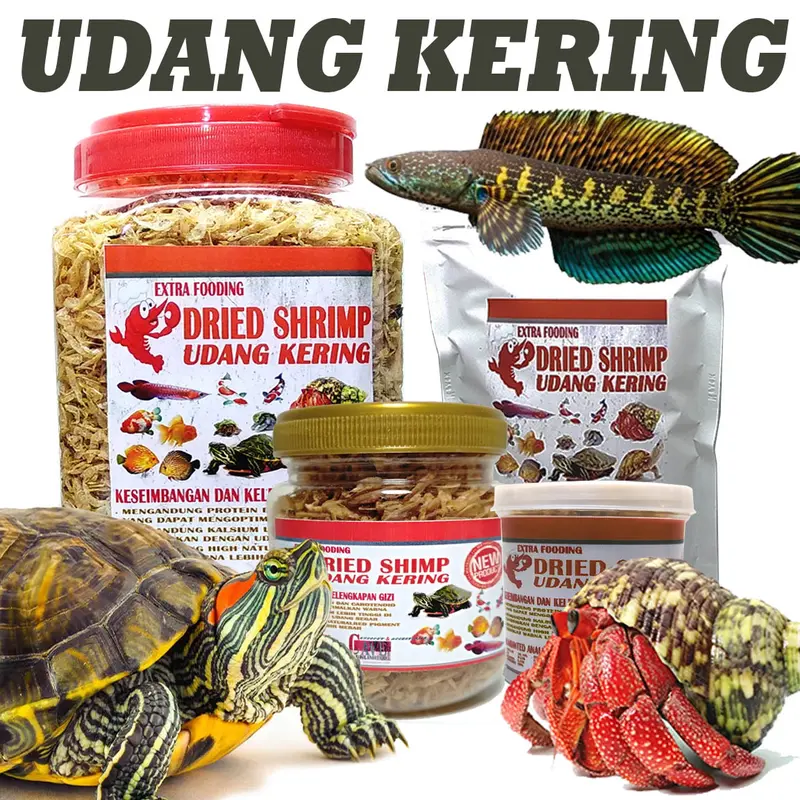 UDANG KERING PAKAN REPTILE KURA AIR BRAZIL IKAN KEONG KELOMANG TURTLE FOOD BRAZIL RES MAKANAN KURAKURA BRASIL CST AST 0