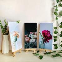 Gambar HIASAN DINDING BUNGA PEONY AESTHETIC (15X30) PAJANGAN WALL DECOR - O121-1 dari Apolito Kota Malang 3 Tokopedia