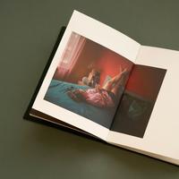 Gambar "Lisette" Photo Book - Hendra Eka (Pre Order) dari Tokonya Hendra Eka Kota Depok 3 Tokopedia