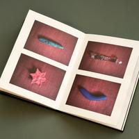 Gambar "Lisette" Photo Book - Hendra Eka (Pre Order) dari Tokonya Hendra Eka Kota Depok 2 Tokopedia