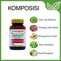 Gambar Obat Herbal Pembersih Pembuluh Darah Pasca Stroke Naturindo CARSIFIT dari Jamu Modern Naturindo Kab. Bandung 3 Tokopedia