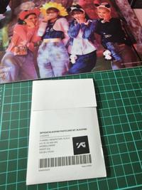 Gambar Photocard Blackpink x Flimty Exhibition Jakarta Set isi 10pcs Sealed - Blackpink dari Twocare Kota Medan 4 Tokopedia