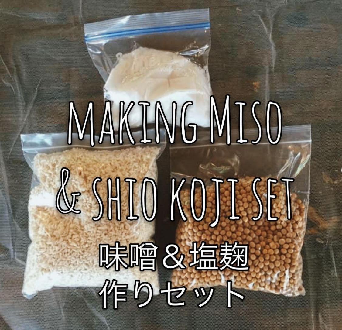 Miso & Shio Koji Homemade Kit | Bisa buat 2kg Miso + 300g Shio-koji | Ikushima Store