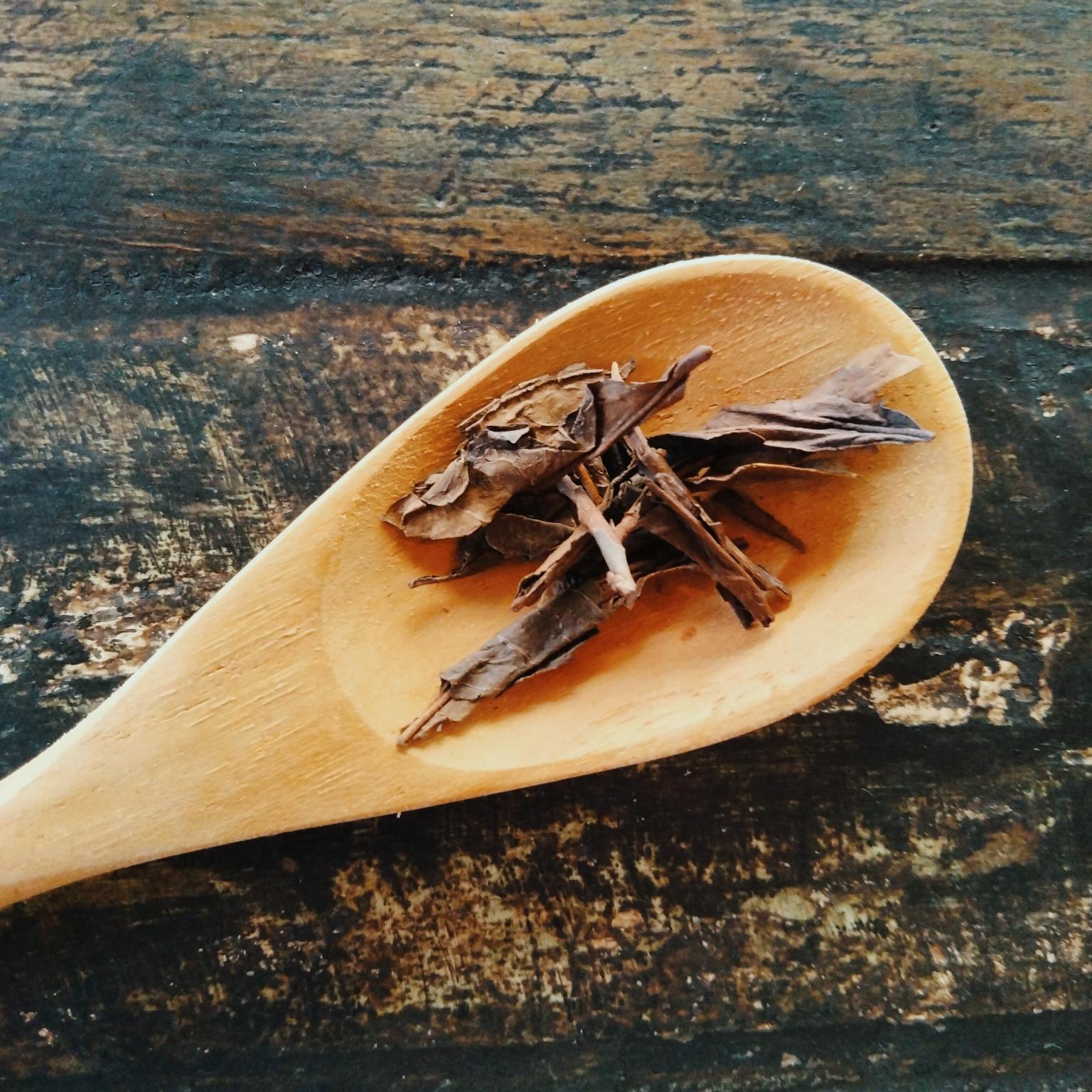 Organik Hoji Cha Roasted Tea 18 gram – Teh Panggang Jepang Bebas Kafein dari ikushima store 3