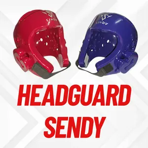 Headguard Pelindung Kepala Latihan Pertandingan Taekwondo Merk Sendy