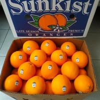 Gambar Jeruk Sunkist Navel 1 Kg-Raja Alpukat dari RAJA ALPUKAT Kota Administrasi Jakarta Timur 3 Tokopedia