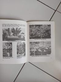 Gambar Buku Bertanam Sayur Dalam Pot dari Toko Buku Bekas Aksiku Kota Administrasi Jakarta Timur 3 Tokopedia