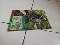 Gambar Buku Bertanam Sayur Dalam Pot dari Toko Buku Bekas Aksiku Kota Administrasi Jakarta Timur 5 Tokopedia