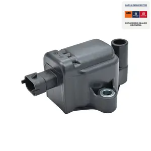 KTM Ignition Coil KTM 150/250/300 EXC TPI 2018-2023 - 55639006000