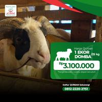 Gambar Qurban Domba/Kambing Al Hilal dari LAZIS AL HILAL Kota Bandung 1 Tokopedia