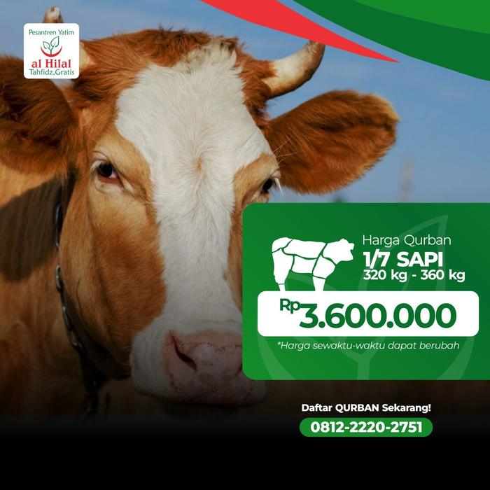 Gambar Qurban 1/7 Sapi Al Hilal dari LAZIS AL HILAL Kota Bandung Tokopedia