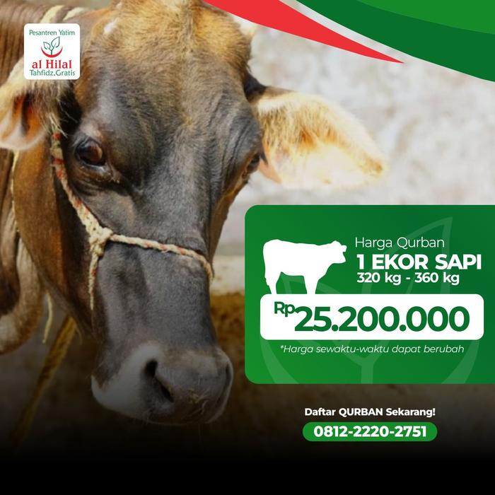 Gambar Qurban 1 Ekor Sapi Al Hilal dari LAZIS AL HILAL Kota Bandung Tokopedia