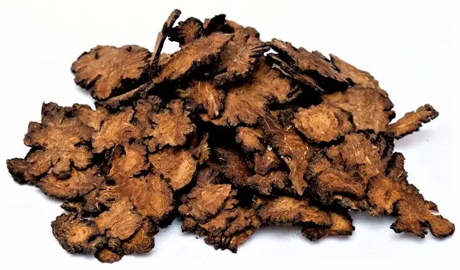Cuan qiong / Chuan qiong / Loavage root
