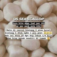 Gambar SCALLOP USA / SCALOP PREMIUM / 2.27kg / KERANG KAMPAK - UK 10/20 dari Salmon Segar Jakarta Kota Administrasi Jakarta Selatan 4 Tokopedia