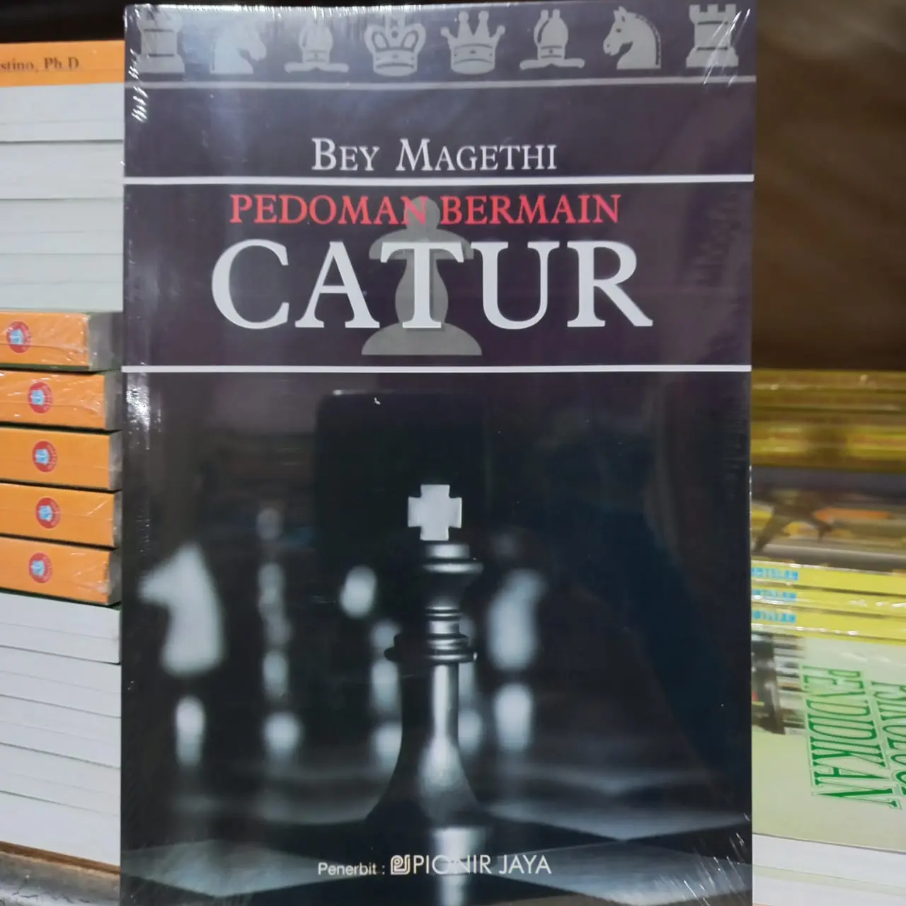Buku Pedoman Bermain Catur