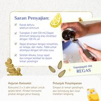 Gambar [PAKET HEMAT REGAS] by Rahsa Nusantara - Herbal BPOM Flu Batuk Pilek - REGAS, REGAS ISI 2 dari rahsa.nusantara Kota Bandung 5 Tokopedia