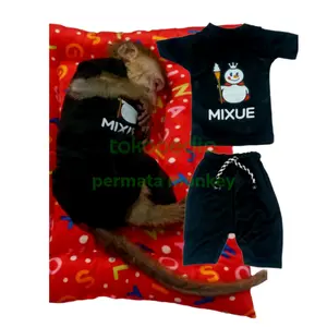 Baju Mixue Hewan Monkeys