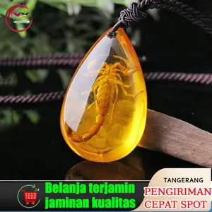 Artificial Amber Pendant Insect Specimen Untuk Mengajar Spesimen Seran