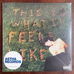 Gracie Abrams - This Is What It Feels Like (Piringan Hitam / Vinyl)