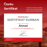 Gambar BantuKurban | Kurban Sekarang | Domba/Kambing - Reguler 15-20kg dari Bantukurban Kota Administrasi Jakarta Selatan 3 Tokopedia