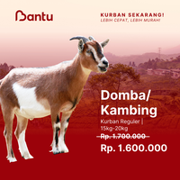 Gambar BantuKurban | Kurban Sekarang | Domba/Kambing - Reguler 15-20kg dari Bantukurban Kota Administrasi Jakarta Selatan 1 Tokopedia